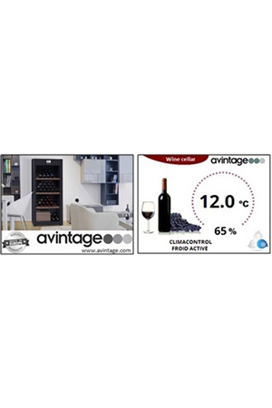 Cave de vieillissement AVINTAGE DHA305PA